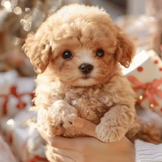 🐾My Realistic Robot Puppy🐶 – Perfect Pet Duo for Kids & Family